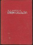 Strom casuarína - náhled