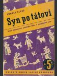 Syn po tátovi - náhled